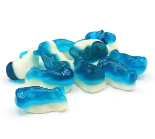 Mini Dolphins